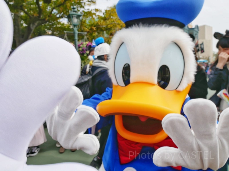 ディズニークイズ】ドナルド編20問！初級・中級・上級別！全問正解を