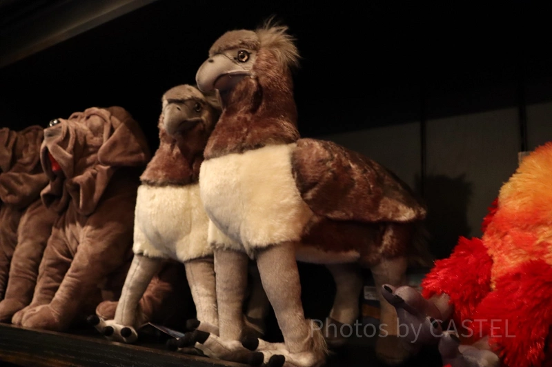 ハリポッターの鳥 ハリー・ポッターの歴史に迫る大規模な展覧会が開催