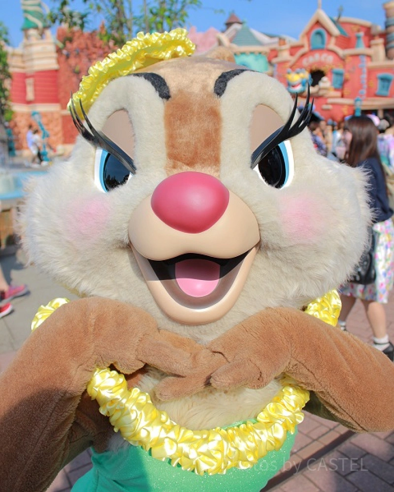 9/1発売！ディズニーハロウィングッズ2017ミニーと黒猫のモノトーンお