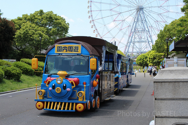 【徹底解説】葛西臨海公園の楽しみ方5選！大観覧車・水族館・レンタサイクルなど