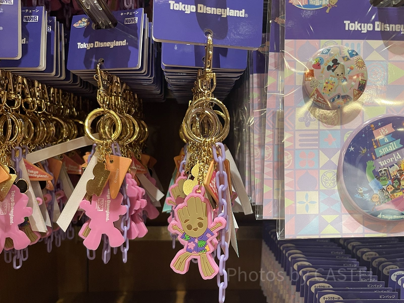 keychain-its-a-small-world-