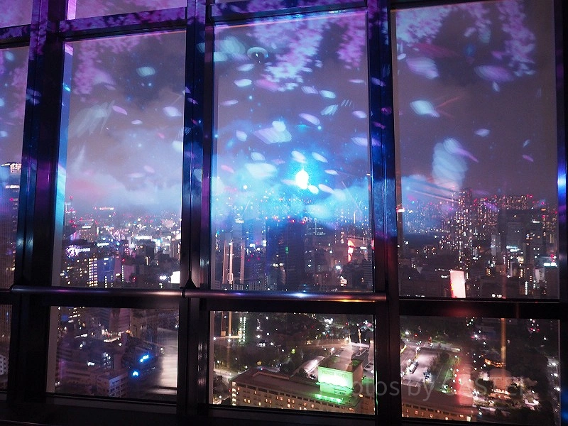 main-deck-of-tokyo-tower-