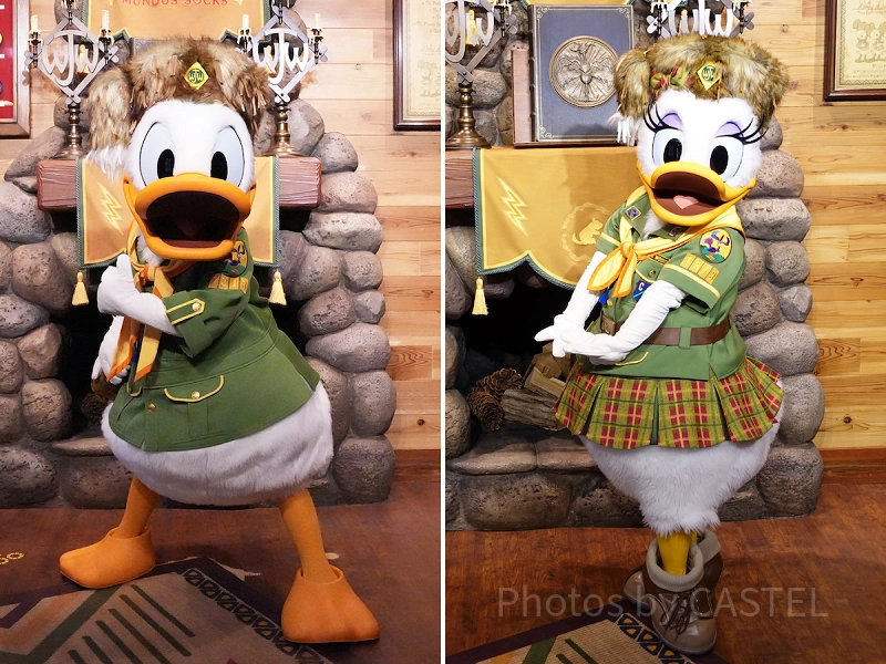 ウッドチャック・グリーティングトレイルを徹底解説！会える