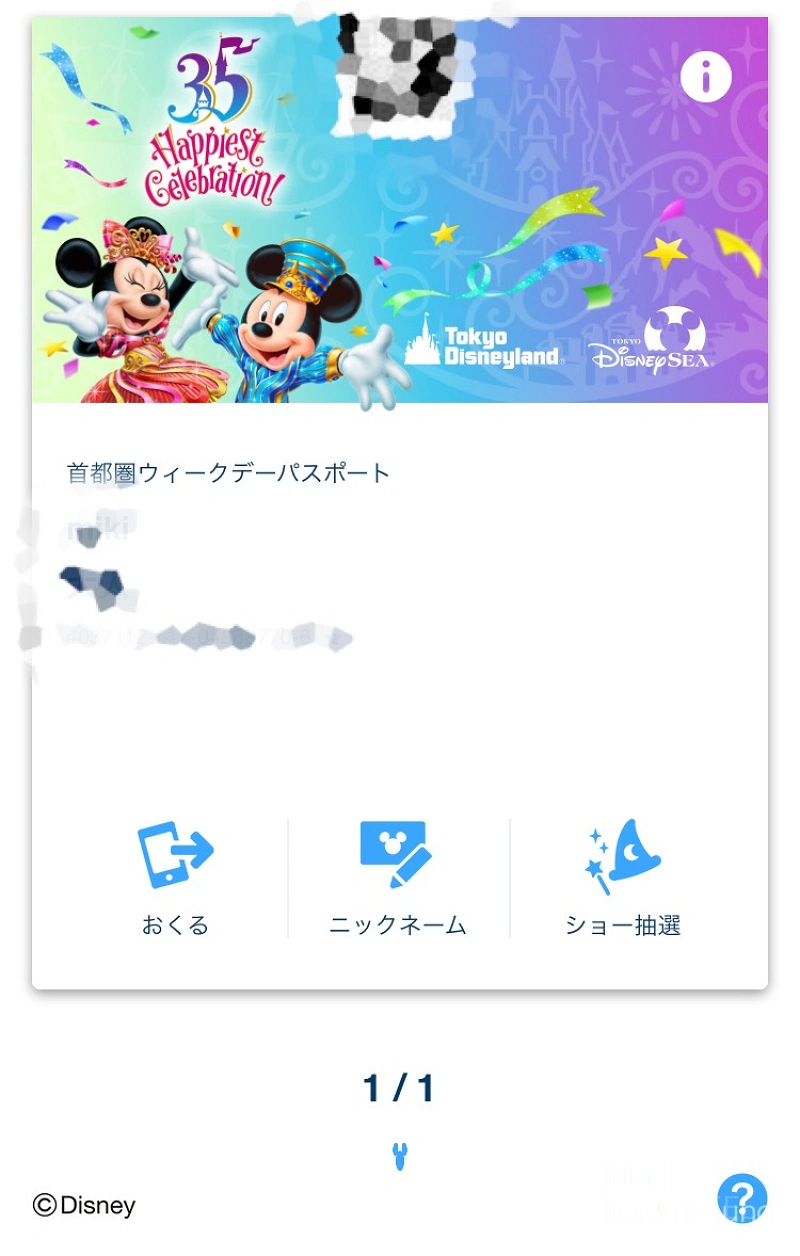 Disney - ディズニー チケット 誕生日 Happiest Birthdayの通販