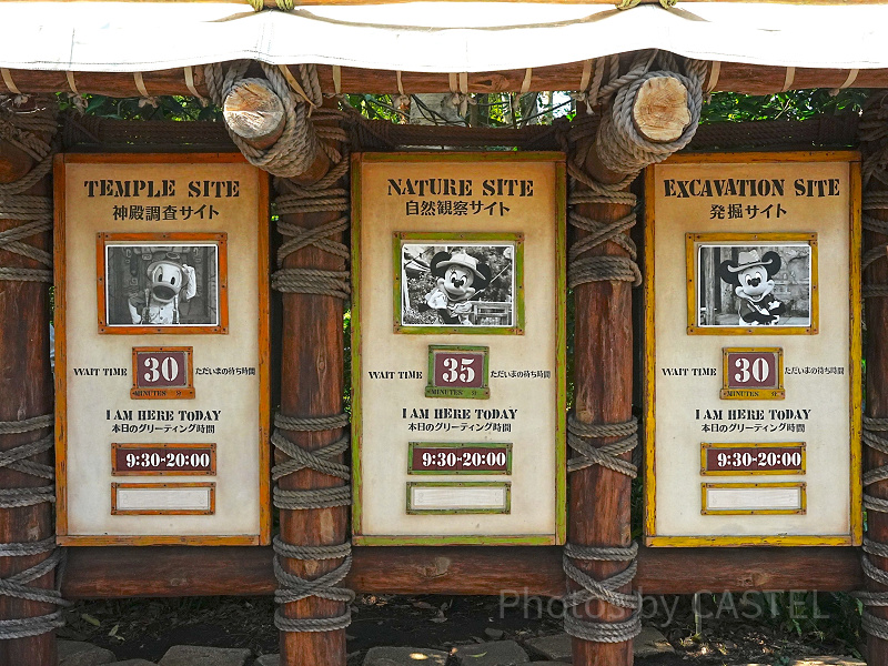 【250枚限定】 ディズニー公認「キャンペーントレイル」ミッキーと仲間たち 250枚限定】 ディズニー公認「キャンペーントレイル」ミッキーと