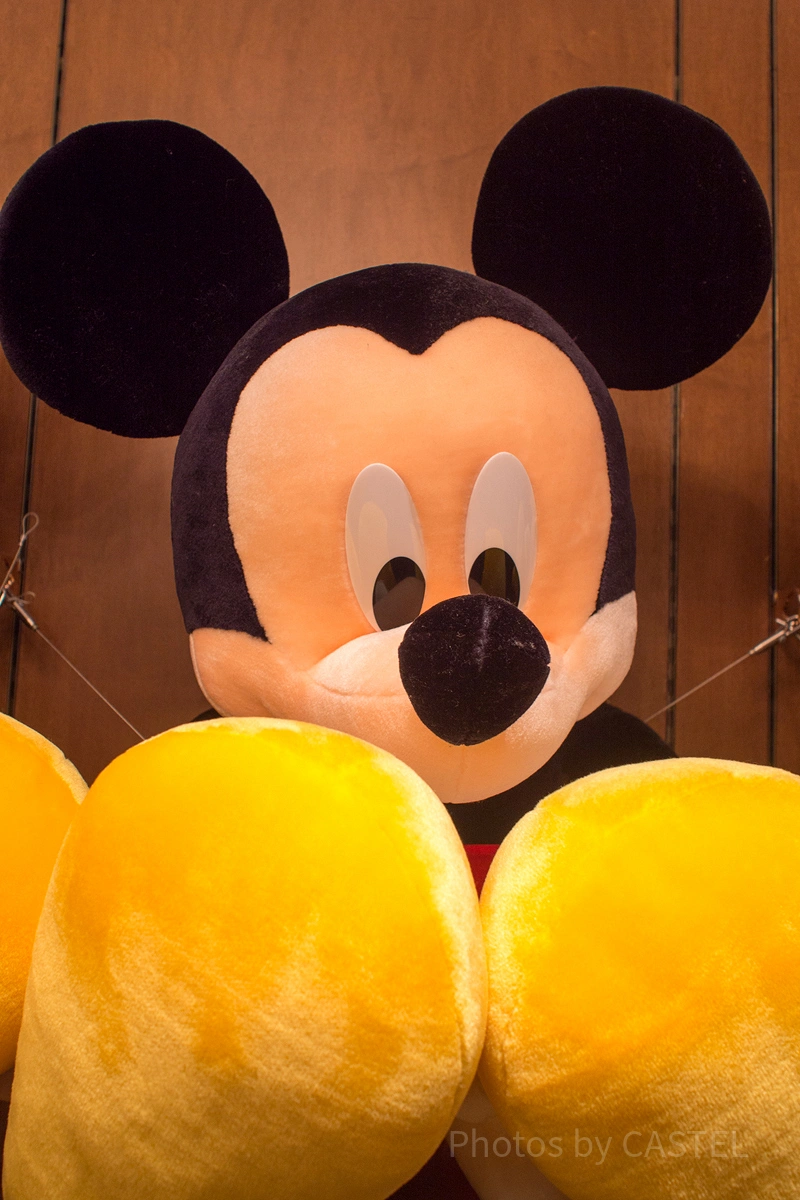 ディズニーぬいぐるみ50選！ミッキーフレンズやプーさん、モンスターズ