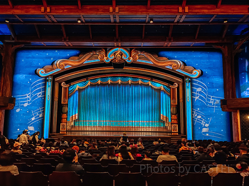 ディズニー　フォレストシアター ランドの景色で1番好きになってしまった、夜のファンタジー