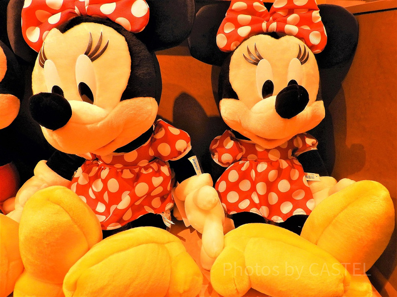 ミニー ぬいば デイジー ポンチョ