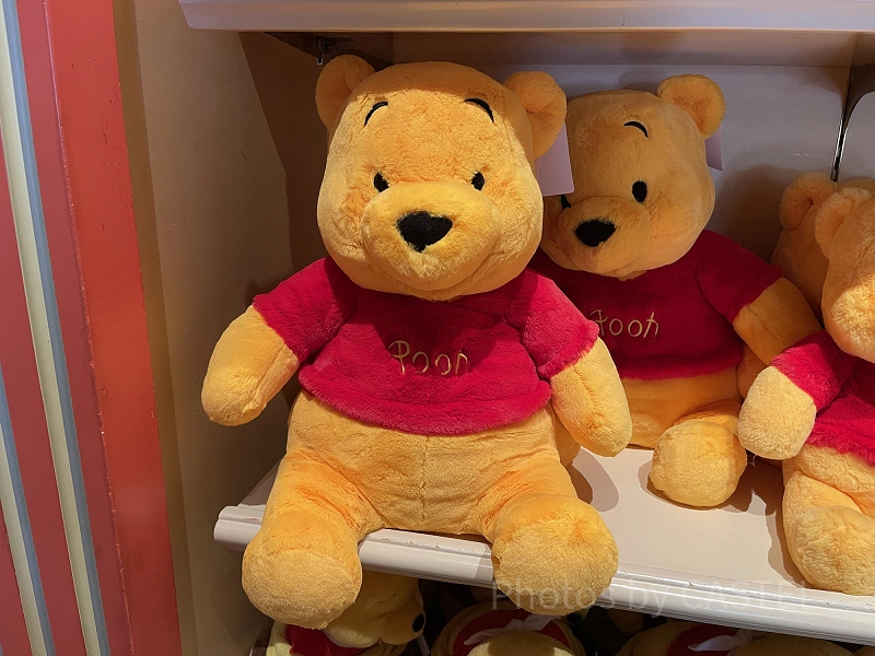 ぬいぐるみ　プーさん　TDL ディズニー公式　小銭入れ　バッグチャーム　綺麗目 風船で空を飛ぶプーさん！東京ディズニーランド「くまのプーさん