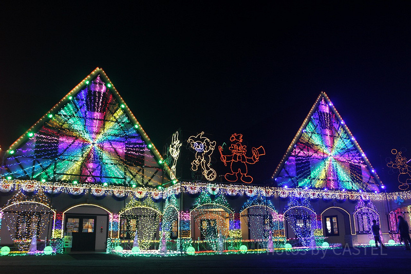 【2023】東京ドイツ村の料金＆割引方法！通常入園料・年間パスポート情報まとめ