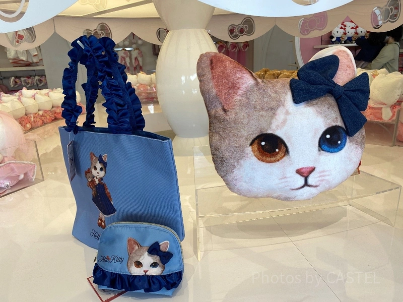 real-cat-hello-kitty-goods-