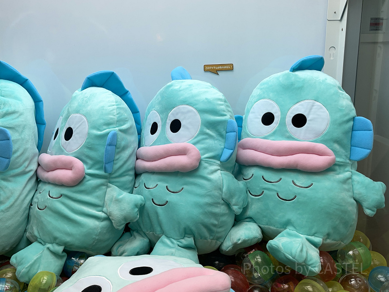 【サンリオ】ハンギョドンのプロフィール！タコのさゆりちゃんとの関係やグッズも紹介♪
