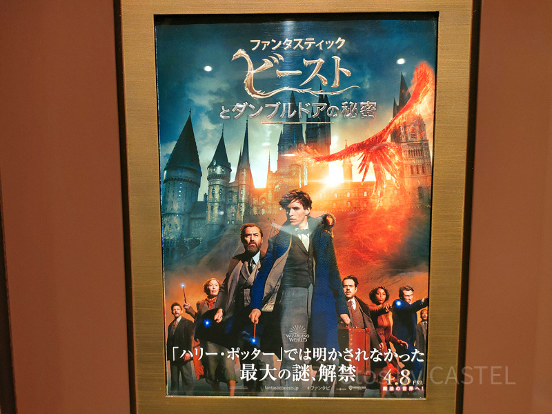 ファンタビ三作品♤吹き替えあり。ハリーポッターシリーズ ハリー