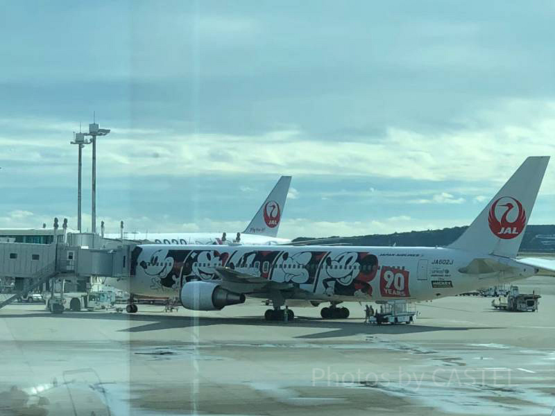 JAL ディズニーツアー エプロン 水色（2025年最新】Yahoo