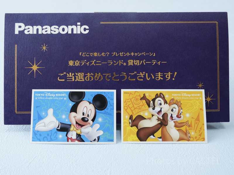 東京ディズニーランド　貸切　2名分 2026】ディズニー貸切イベントスケジュール！応募方法や貸切イベント日