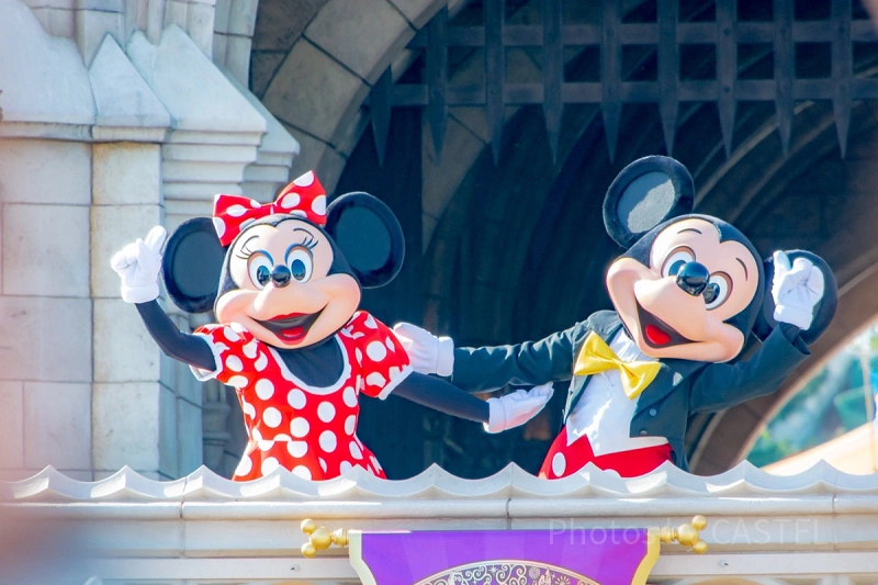 totally-minnie-mouse-