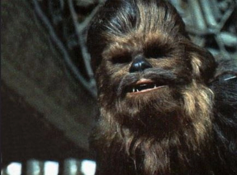 スター ウォーズの主要キャラクター一覧 登場人物の名前と画像で紹介