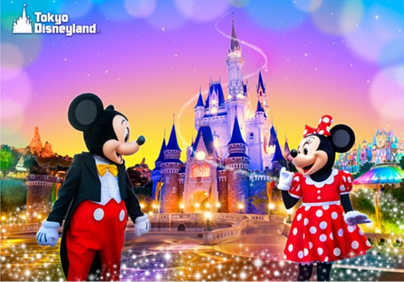 ディズニーチケット 期限間近