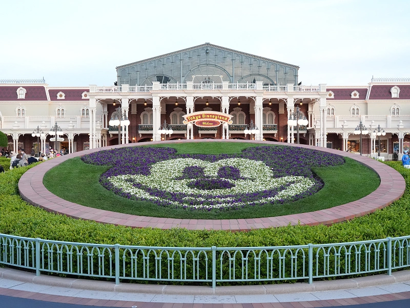 ディズニーランド シーに咲く花の見頃はいつ 花の種類や花壇の場所まとめ ディズニーランドローズも