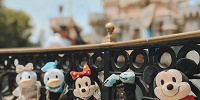 ディズニーパークに連れて行って楽しむ！| キャステル | CASTEL ディズニー情報