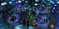 【2021】大阪・花の文化園（はなぶん）イルミネーション情報まとめ！開催期間、チケット料金、見どころ