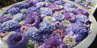 昼の花手水| キャステル | CASTEL ディズニー情報