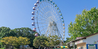 大観覧車| キャステル | CASTEL ディズニー情報