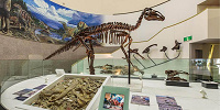 エドモントサウルス展示室| キャステル | CASTEL ディズニー情報