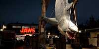 夜のJAWSは迫力満点！| キャステル | CASTEL ディズニー情報