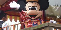 時折ミッキーが遊びにくることも！| キャステル | CASTEL ディズニー情報