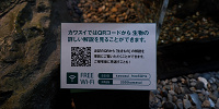 生きものの情報はスマホで読める| キャステル | CASTEL ディズニー情報