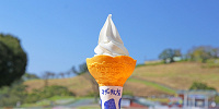 マザー牧場のソフトクリーム| キャステル | CASTEL ディズニー情報