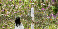 チームラボ『Floating Flower Garden: 花と我と同根、庭と我と一体』| キャステル | CASTEL ディズニー情報