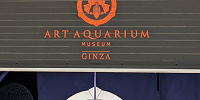 アートアクアリウム銀座　入口| キャステル | CASTEL ディズニー情報