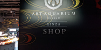アートアクアリウム銀座　ショップ| キャステル | CASTEL ディズニー情報