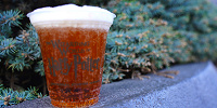 バタービール| キャステル | CASTEL ディズニー情報
