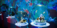 AQUA oasis（アクアオアシス）| キャステル | CASTEL ディズニー情報