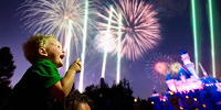 カリフォルニアディズニーで公演されている夜のショーを紹介！| キャステル | CASTEL ディズニー情報