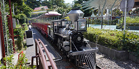レオとライヤの夕日列車| キャステル | CASTEL ディズニー情報
