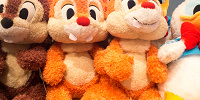 デールぬいぐるみ| キャステル | CASTEL ディズニー情報