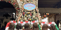 クリスマスカラーコーデ| キャステル | CASTEL ディズニー情報