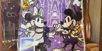ウォッシュタオル（ディズニー100周年グッズ）| キャステル | CASTEL ディズニー情報