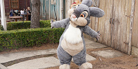 とんすけ| キャステル | CASTEL ディズニー情報