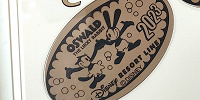東京ディズニーランド・ステーション：スーベニアメダル| キャステル | CASTEL ディズニー情報