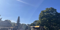 ジャングルクルーズとウェスタンリバー鉄道のエリア| キャステル | CASTEL ディズニー情報