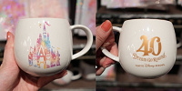 マグカップ（ディズニー40周年グッズ）| キャステル | CASTEL ディズニー情報