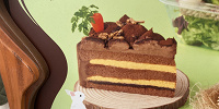 ニンジン畑？！のチョコレートケーキ| キャステル | CASTEL ディズニー情報
