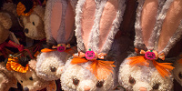 ステラ・ルーのハロウィーンコインケース| キャステル | CASTEL ディズニー情報