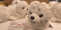 海遊館/ふわふわアザラシ| キャステル | CASTEL ディズニー情報