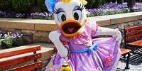 デイジーダック| キャステル | CASTEL ディズニー情報